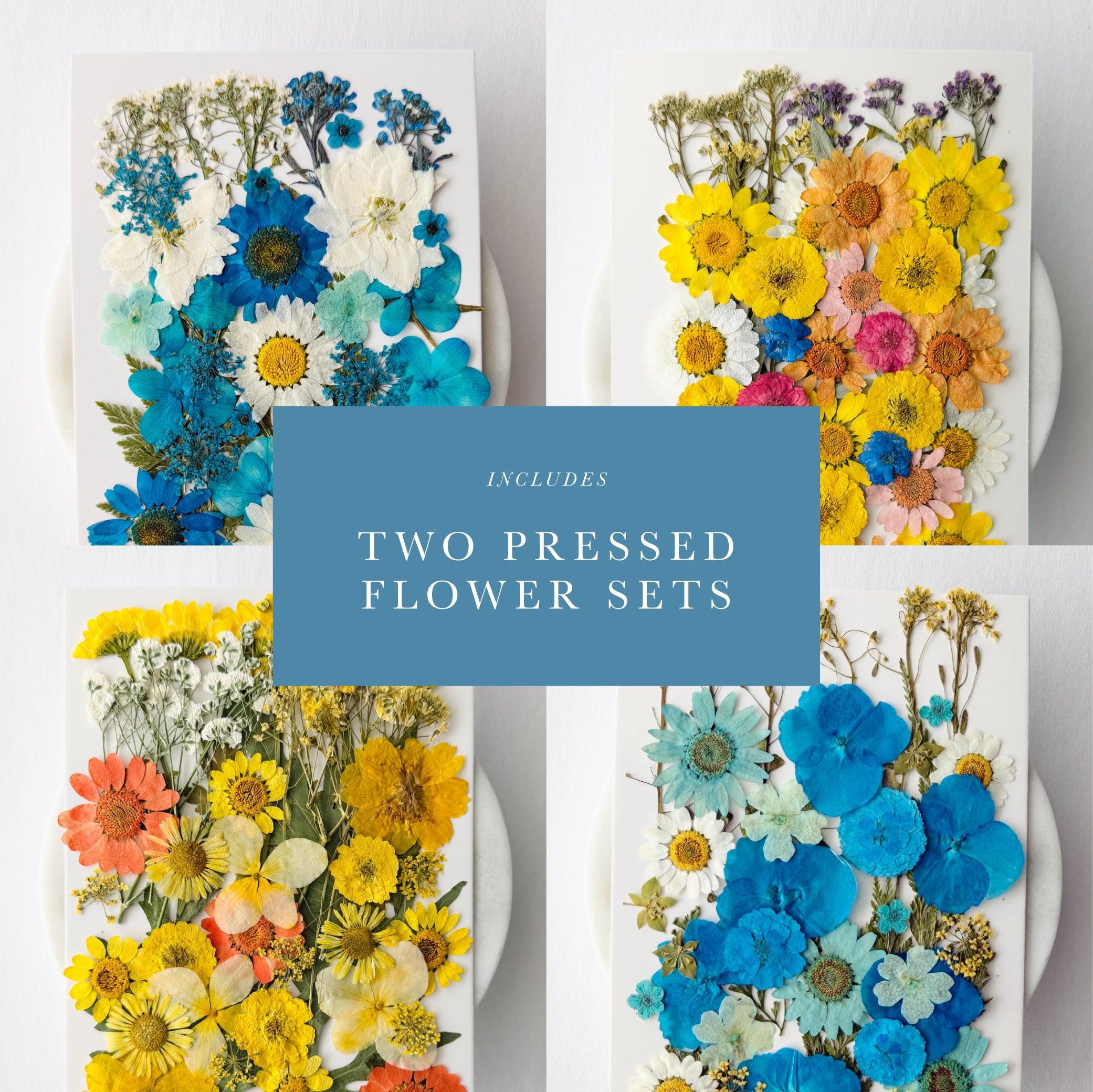 Pressed Florals Wax Seal Bundle