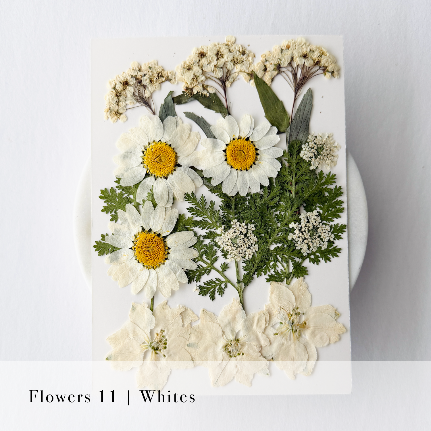 Pressed Flowers