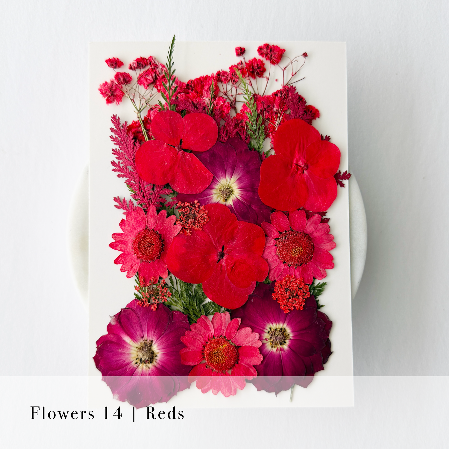 Pressed Flowers