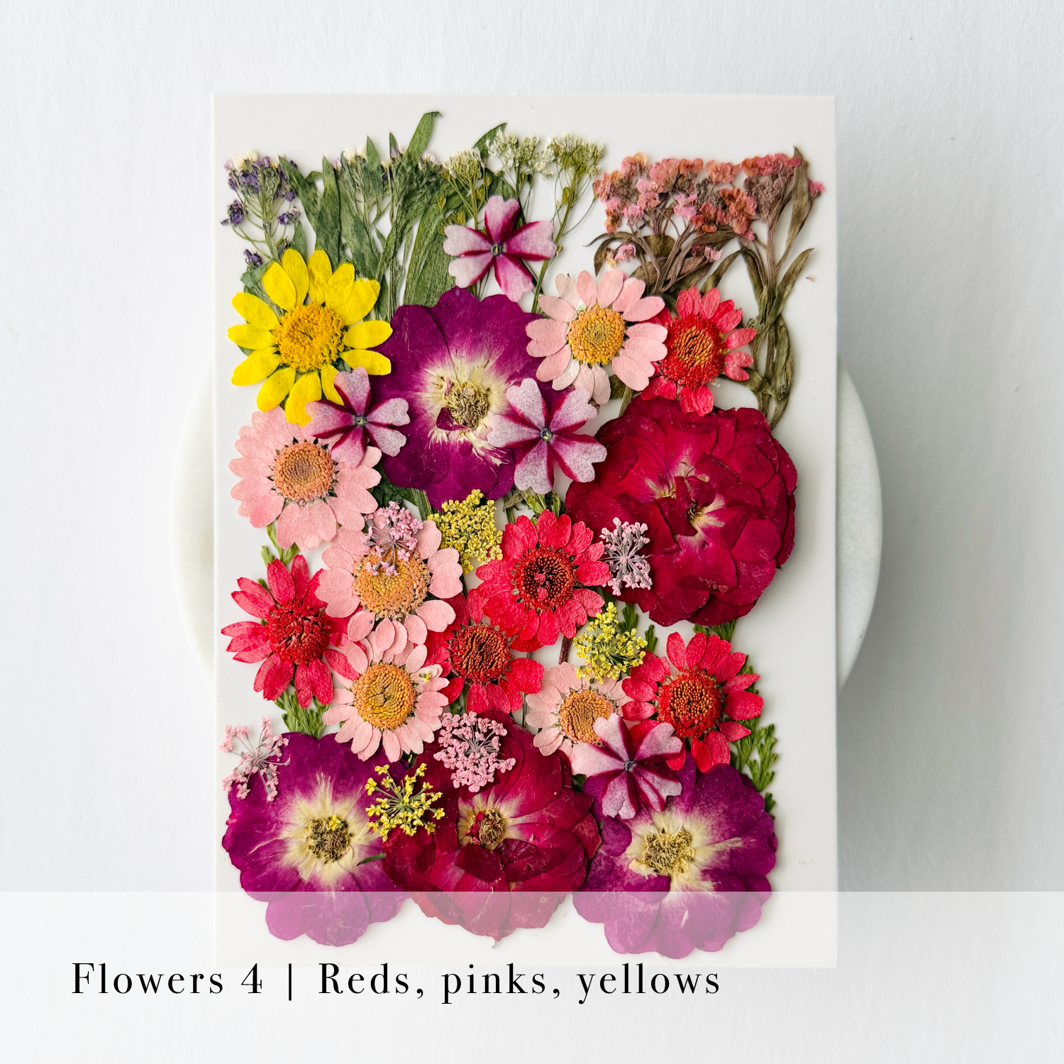 Pressed Flowers