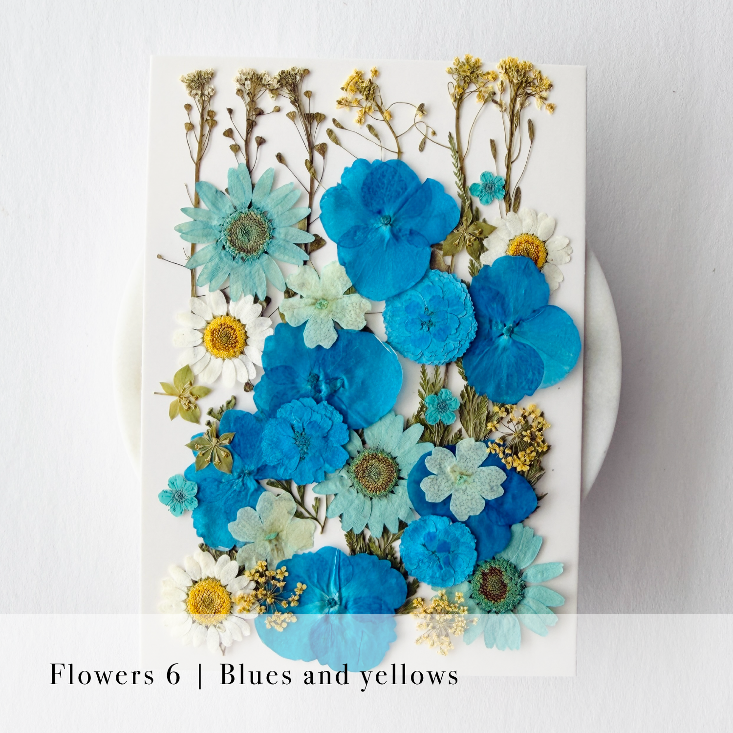 Pressed Flowers
