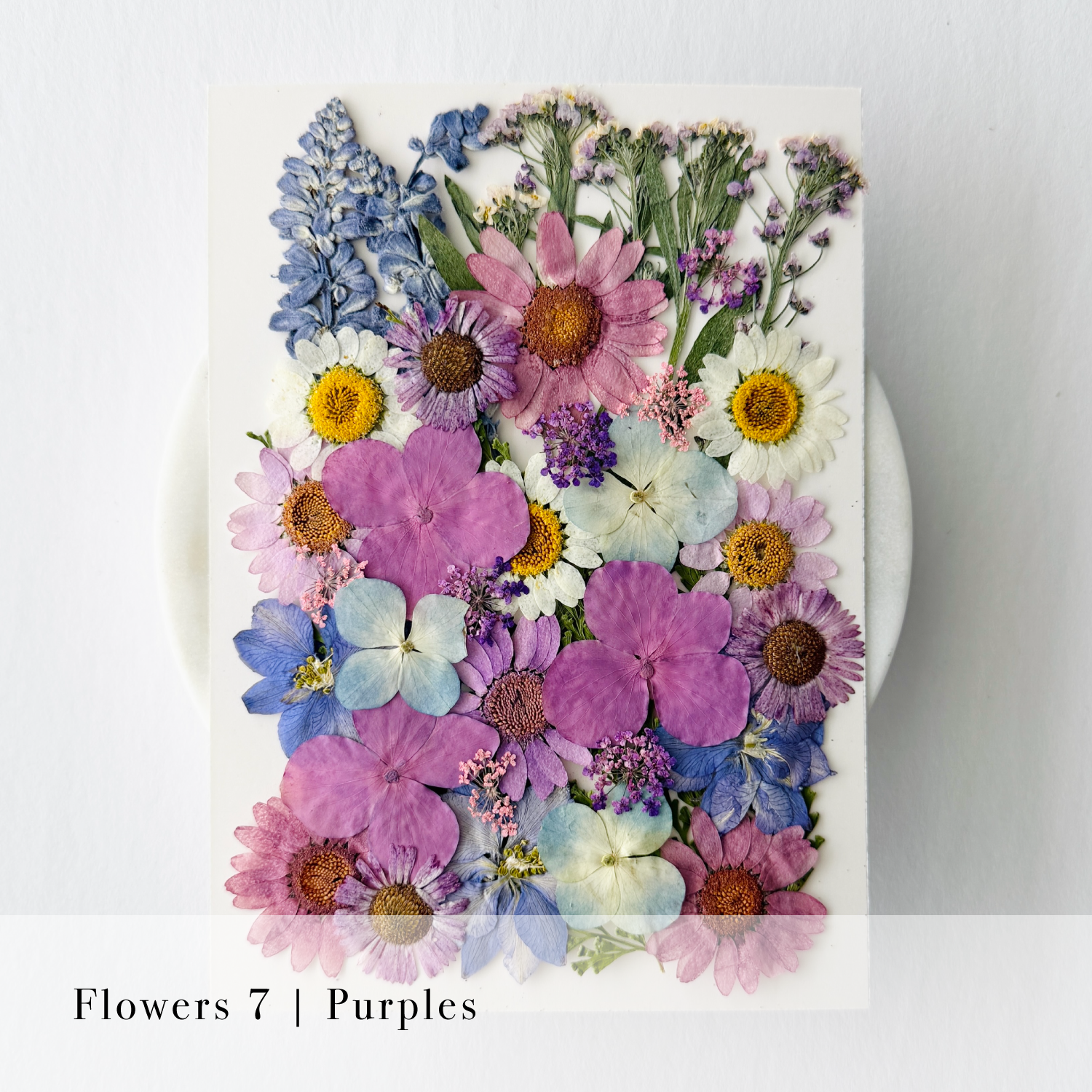 Pressed Flowers