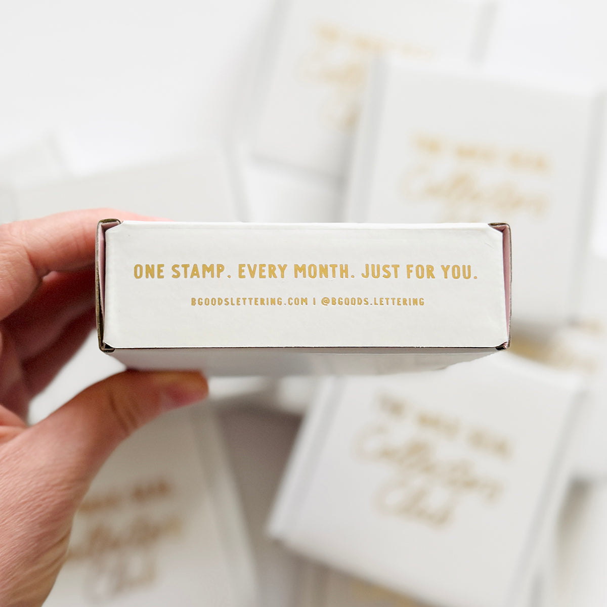 The Collectors Club Monthly Subscription Box