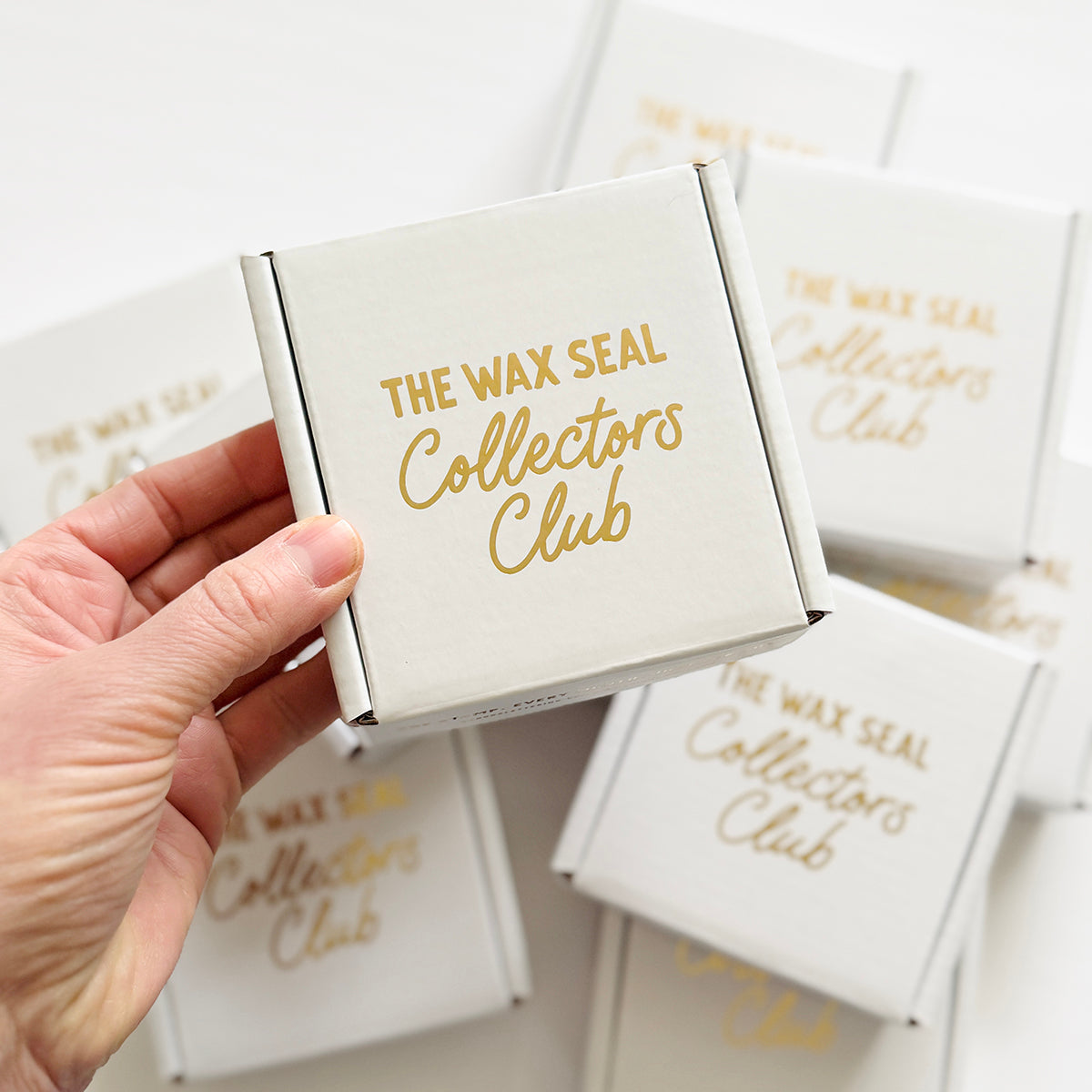 The Collectors Club Monthly Subscription Box