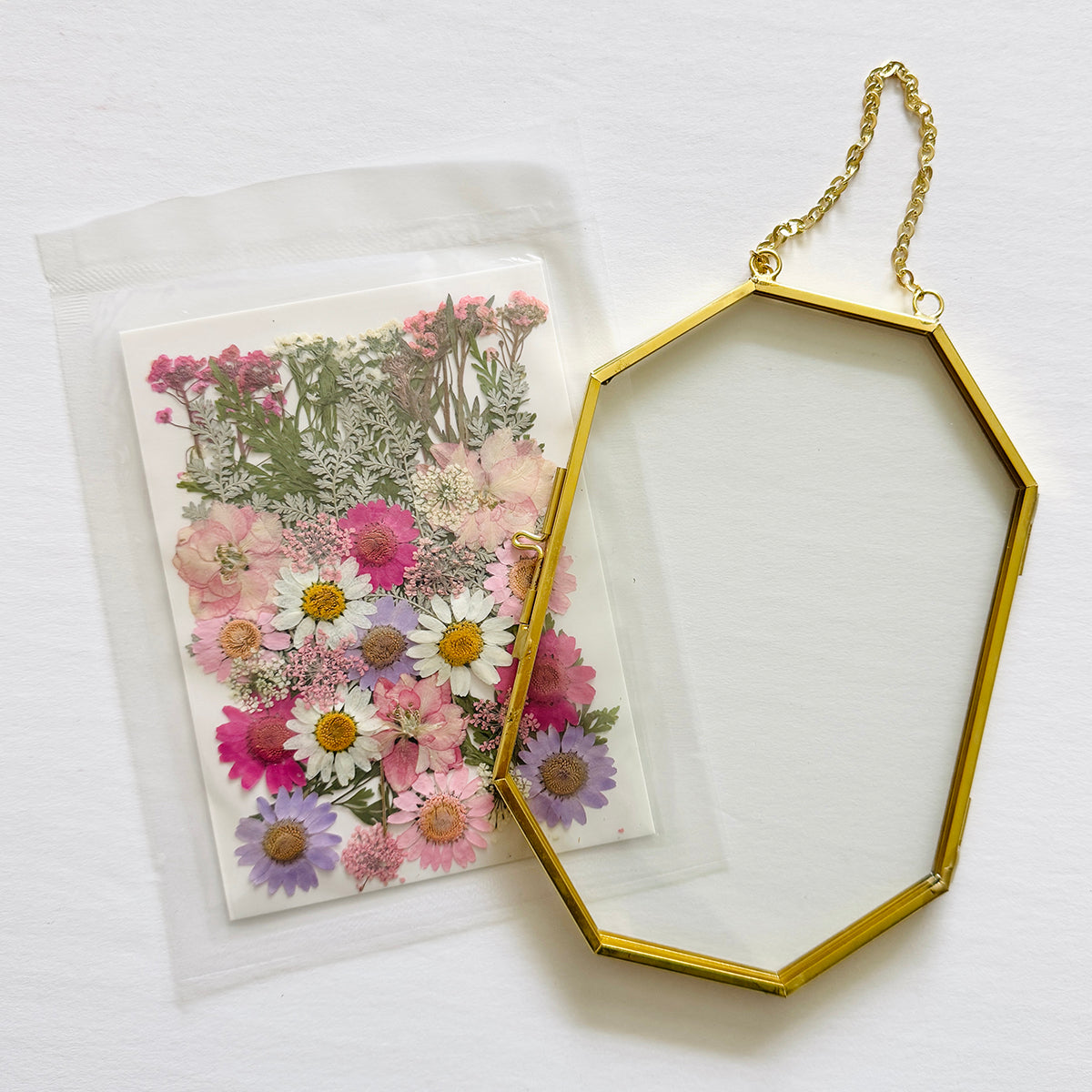 Pressed Flower Art Kit