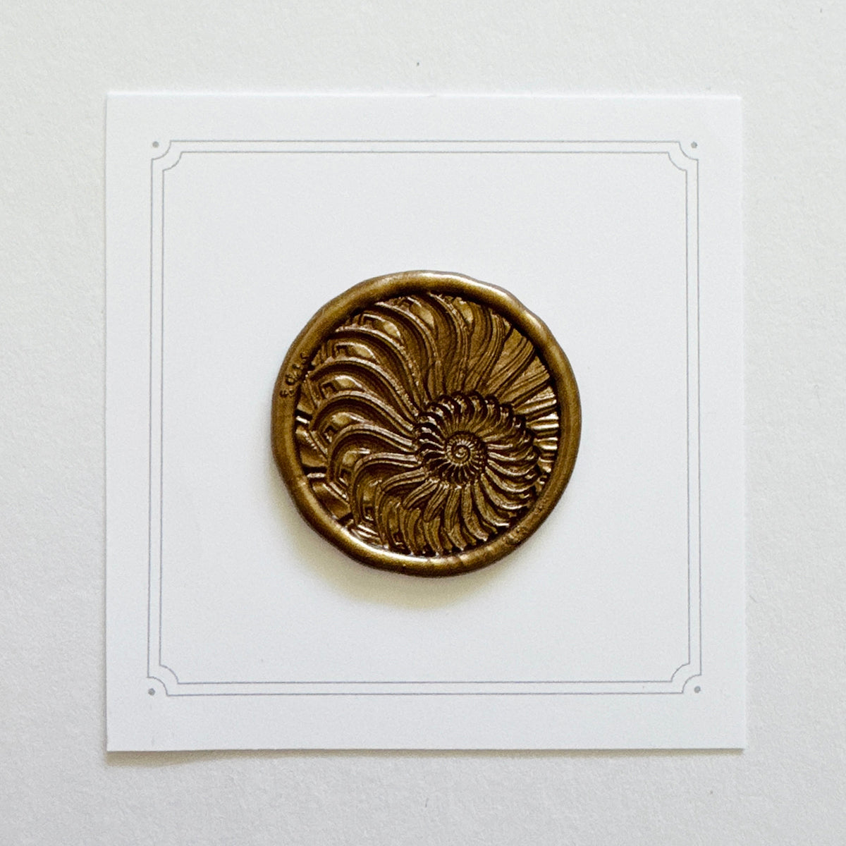 Nautilus Shell Wax Stamp (3-D)