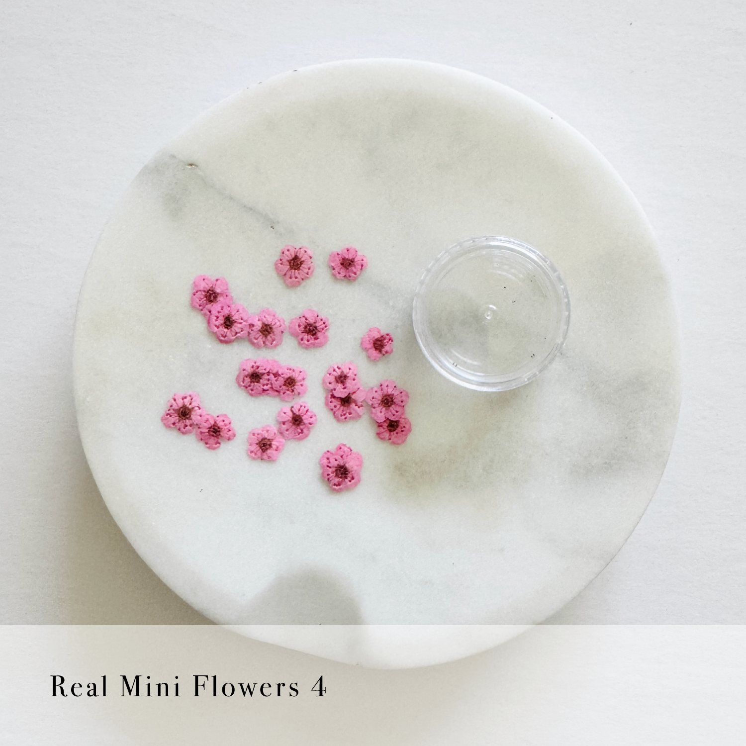Real Mini Flowers
