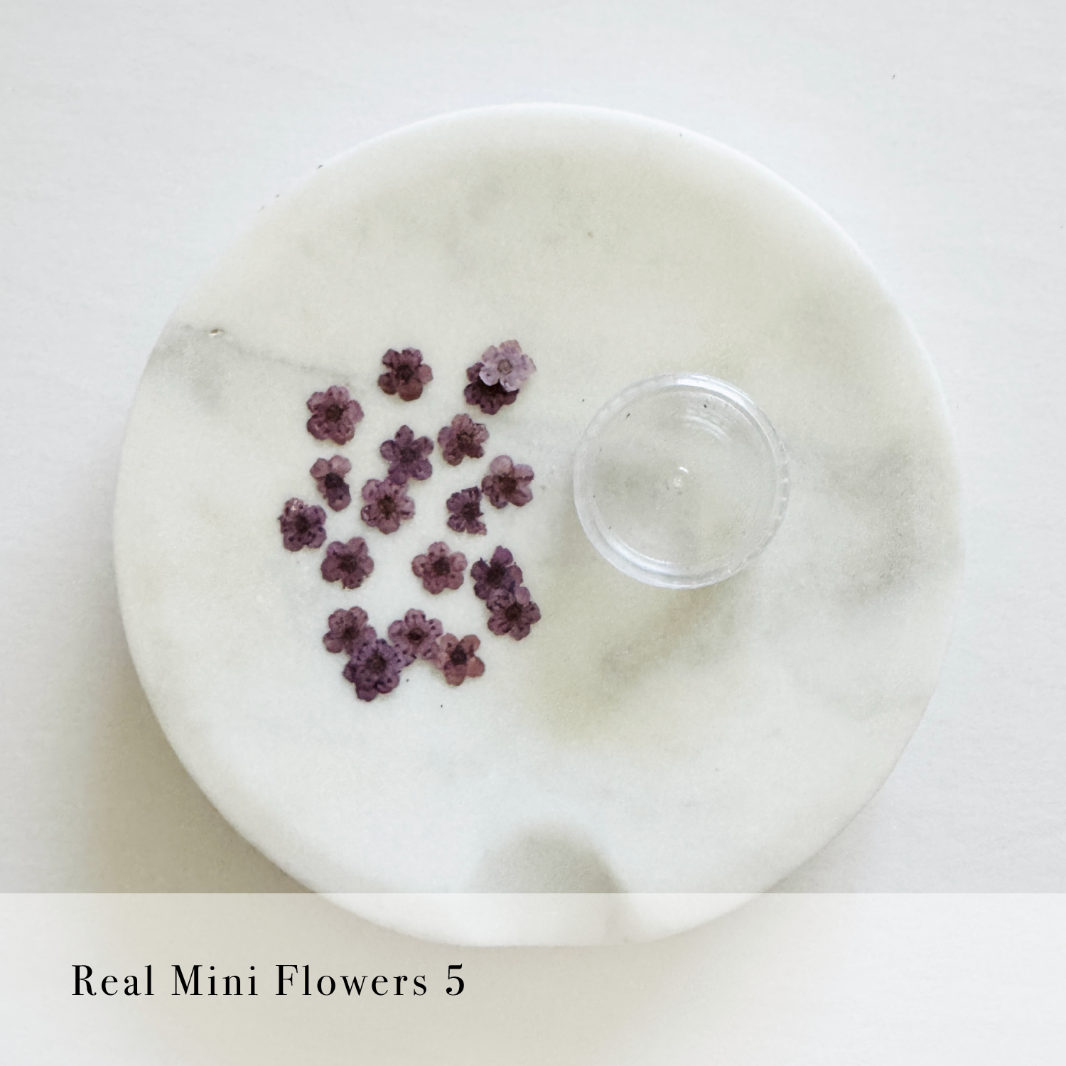 Real Mini Flowers