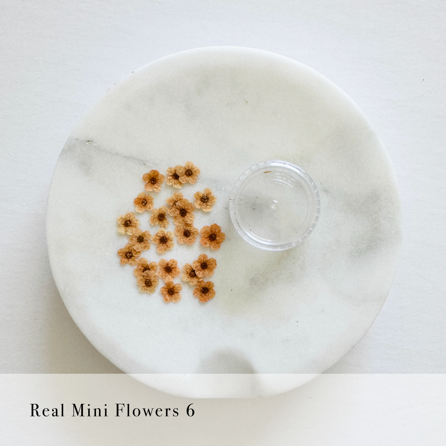 Real Mini Flowers