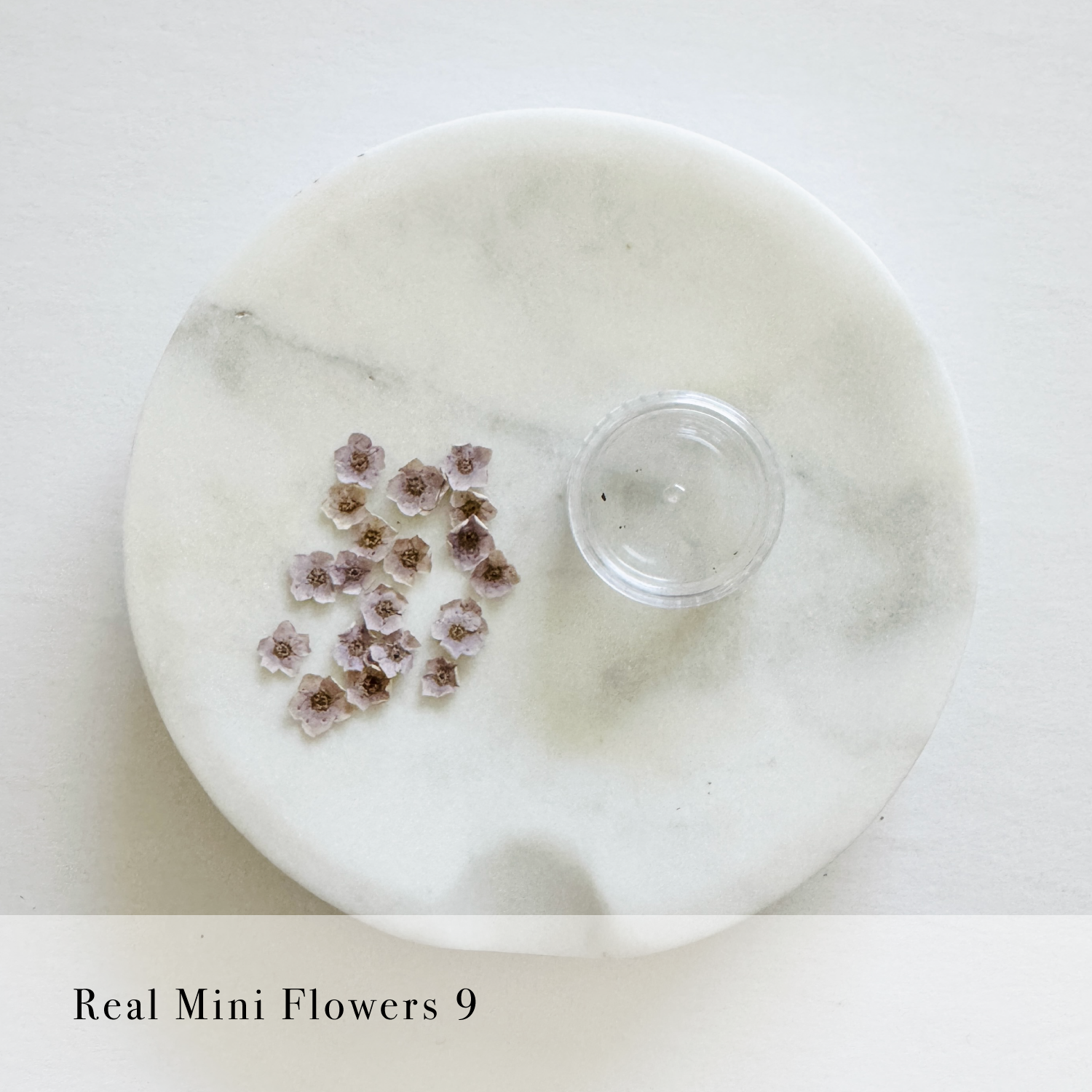 Real Mini Flowers