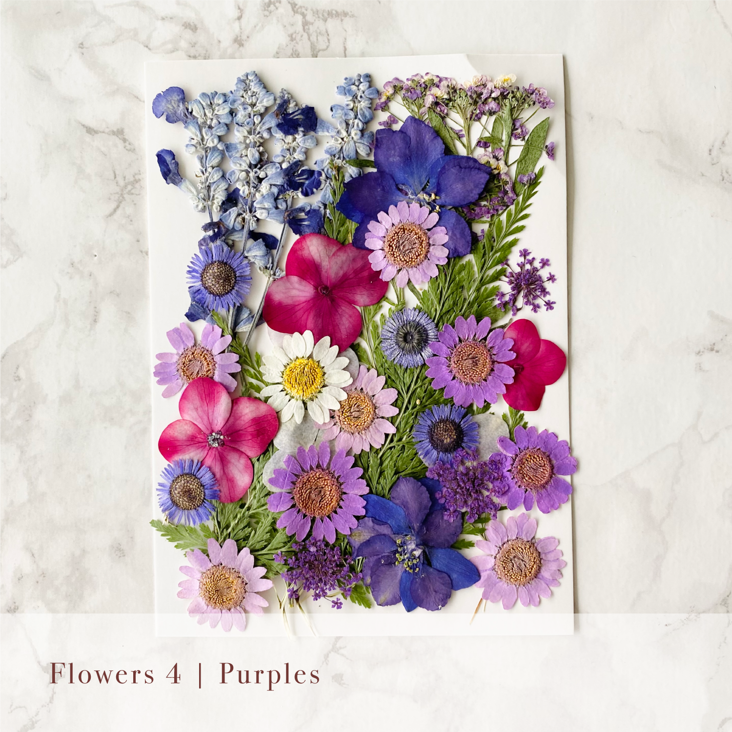 Pressed Flowers