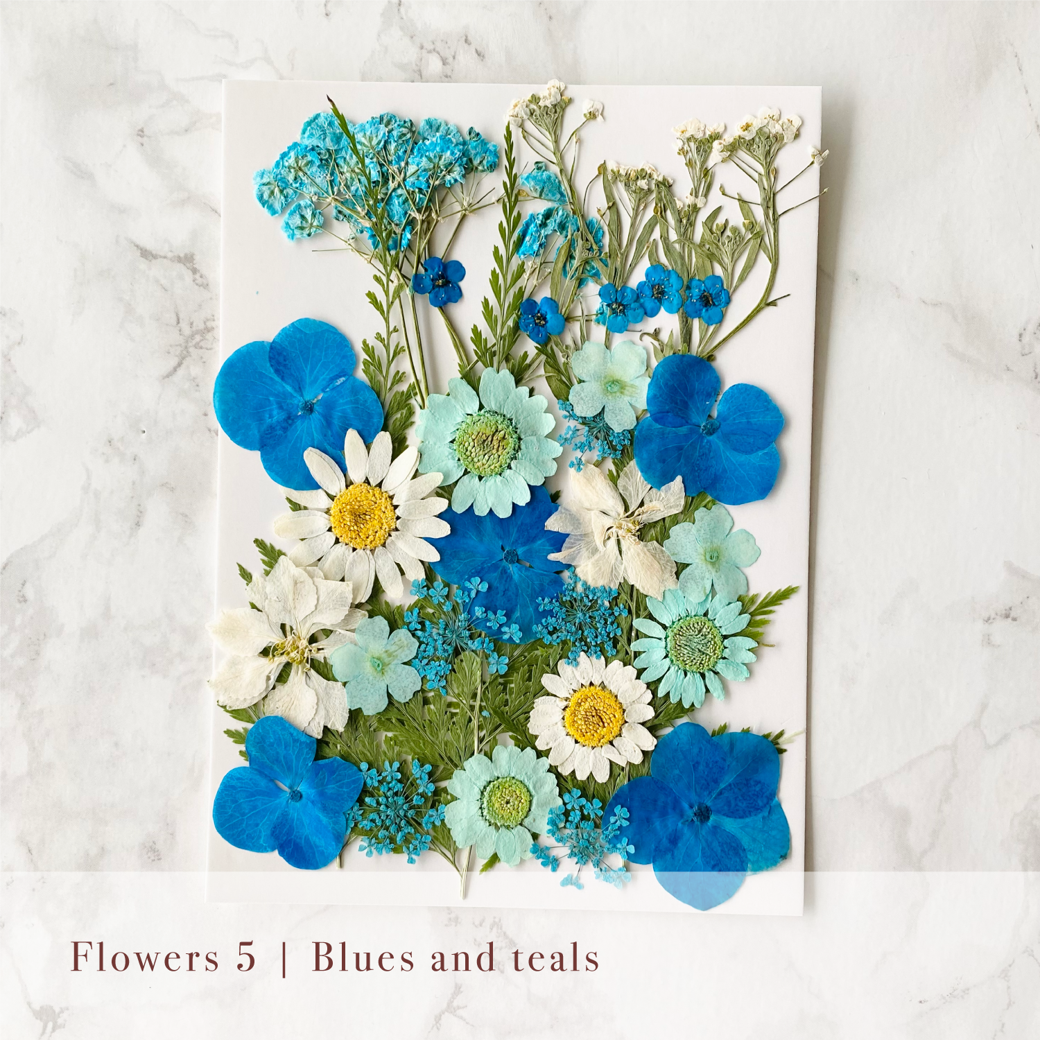 Pressed Flowers