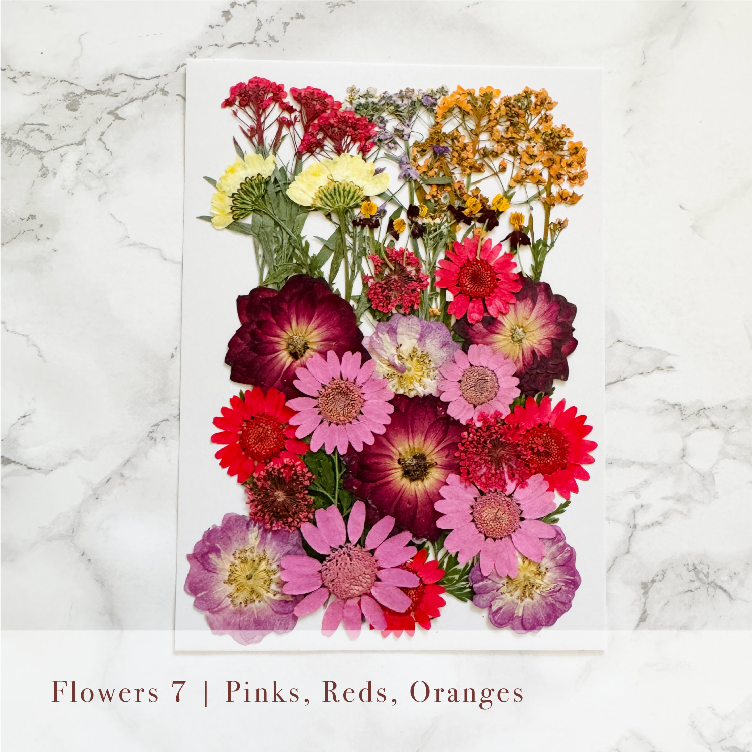 Pressed Flowers