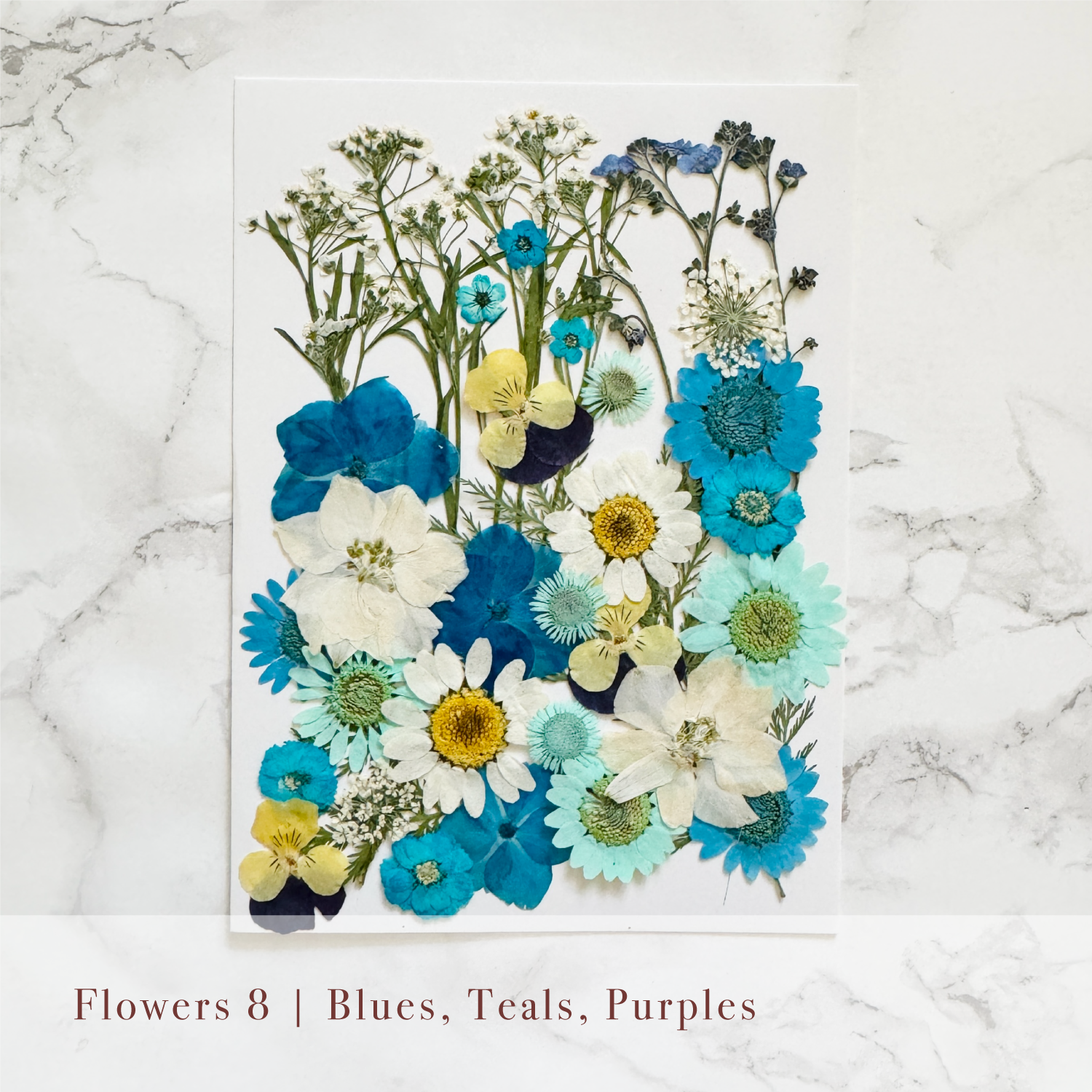Pressed Flowers