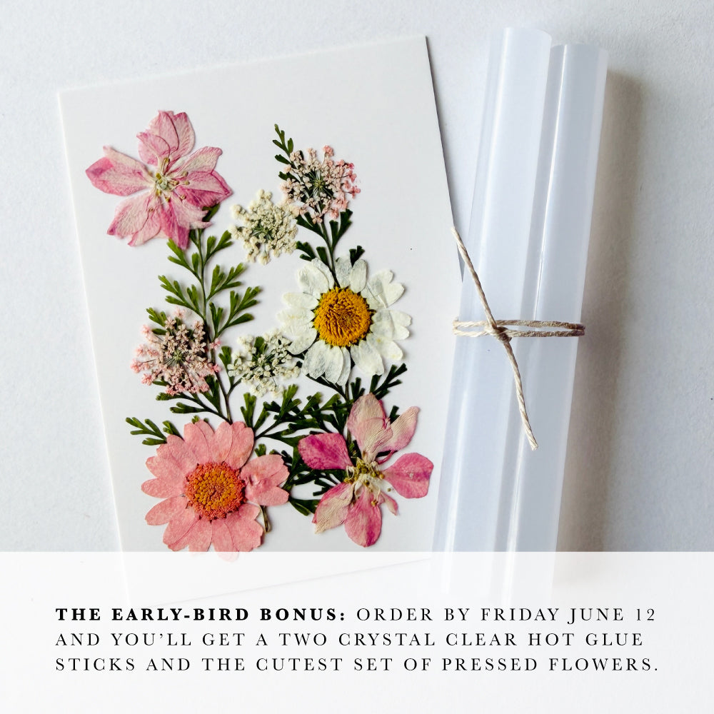 The Wax Seal Club Subscription Box
