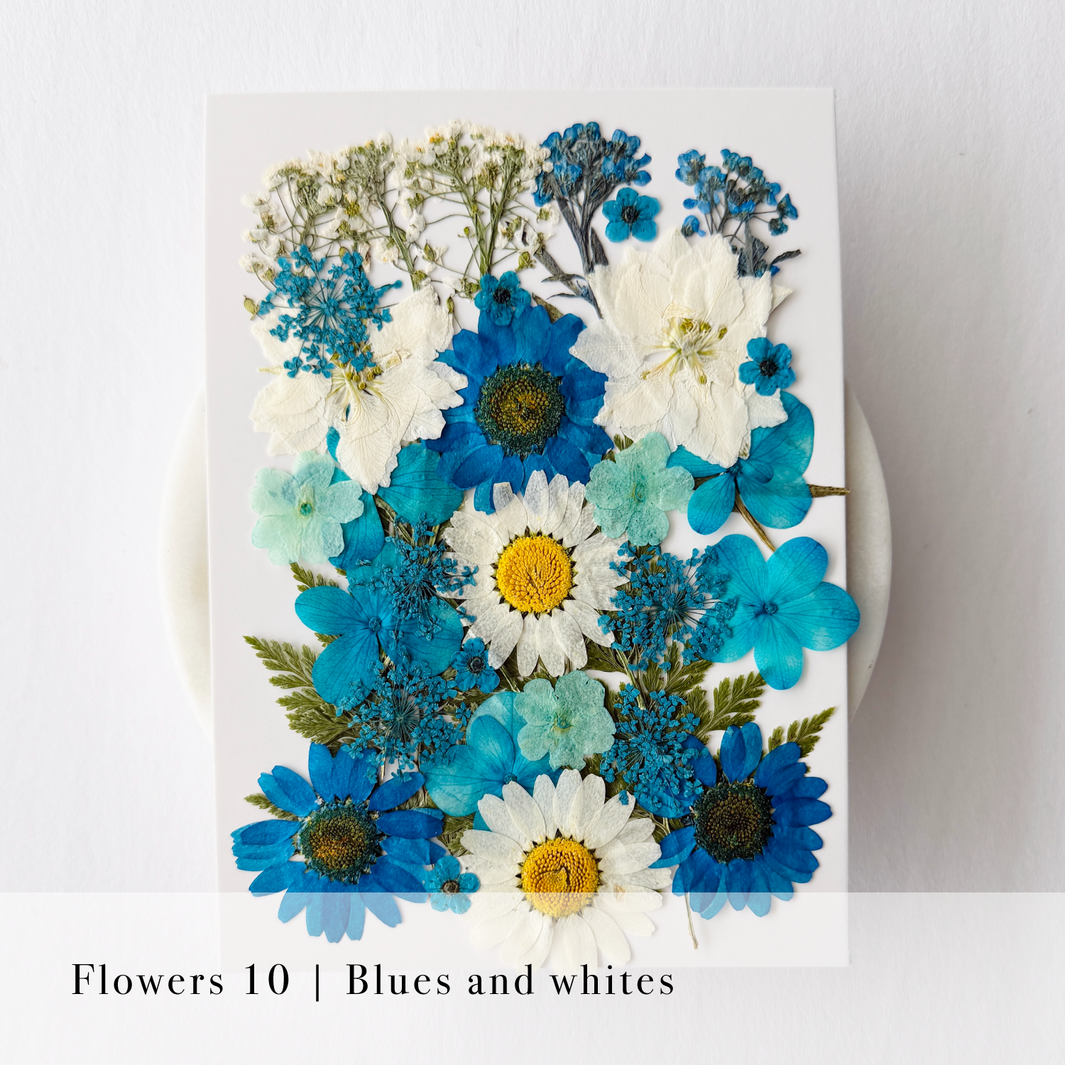 Pressed Flowers