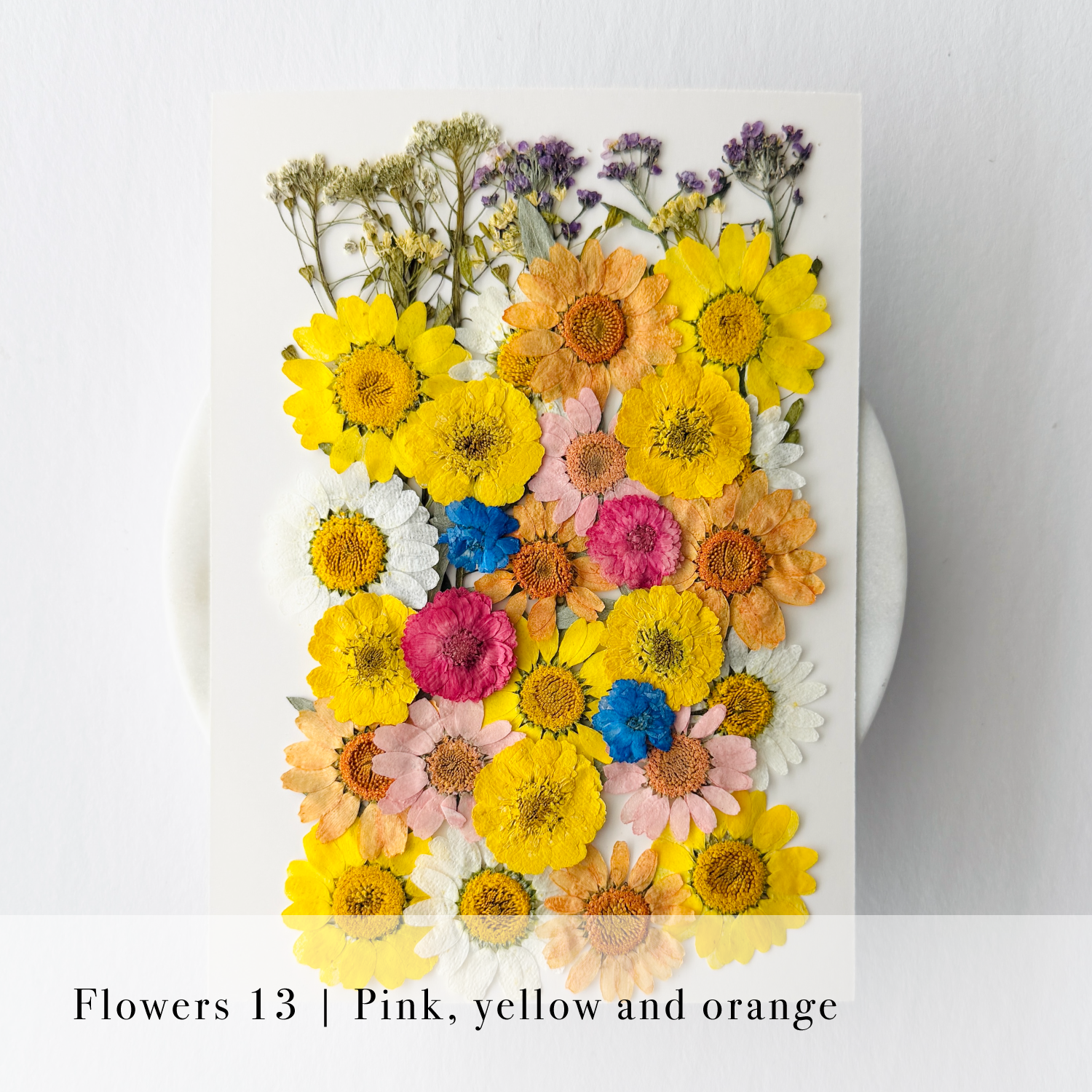 Pressed Flowers