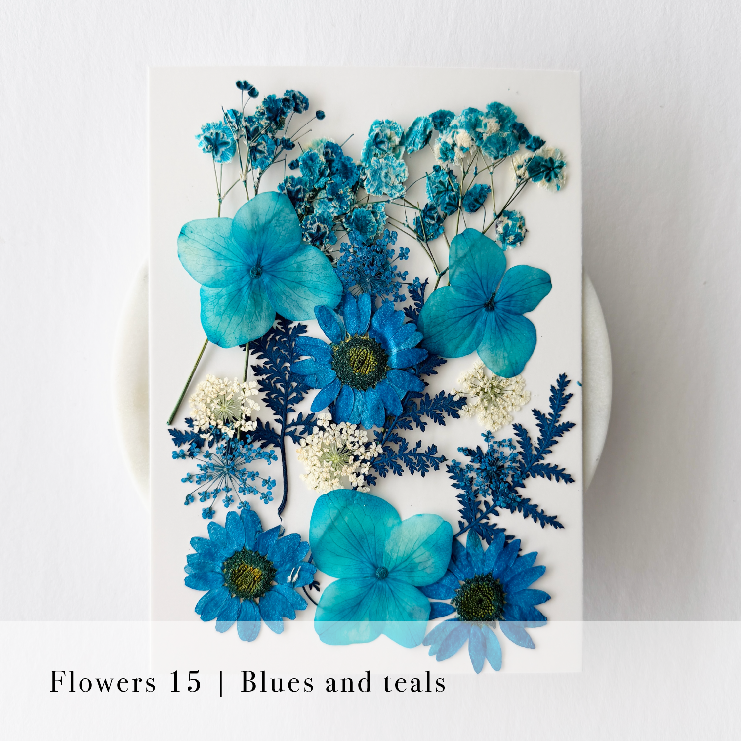 Pressed Flowers
