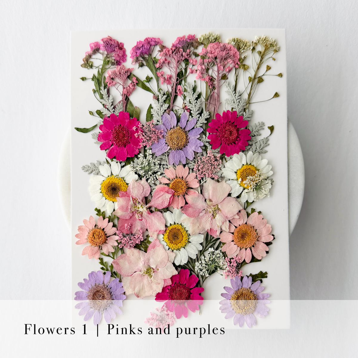 Pressed Flowers