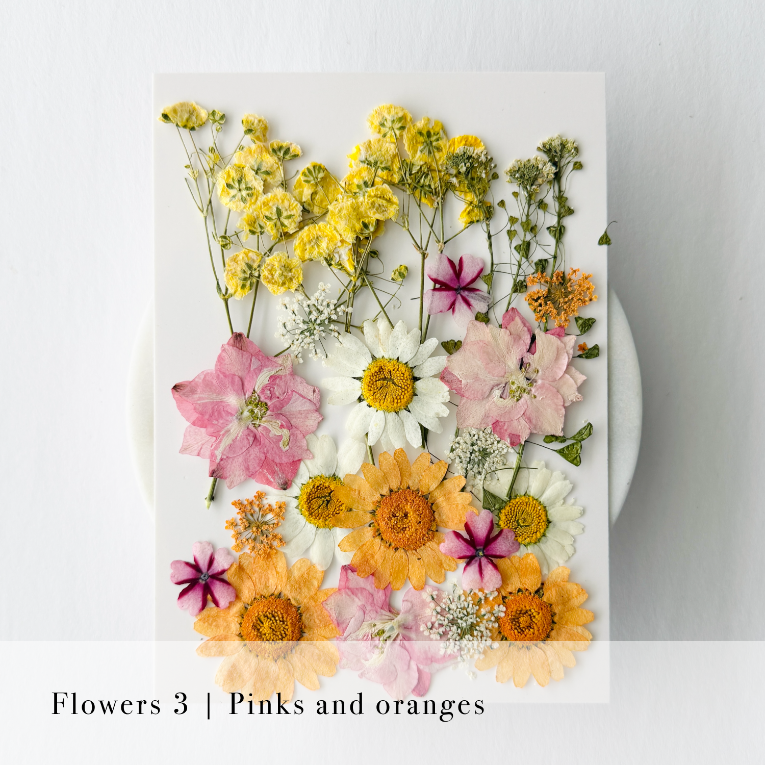 Pressed Flowers