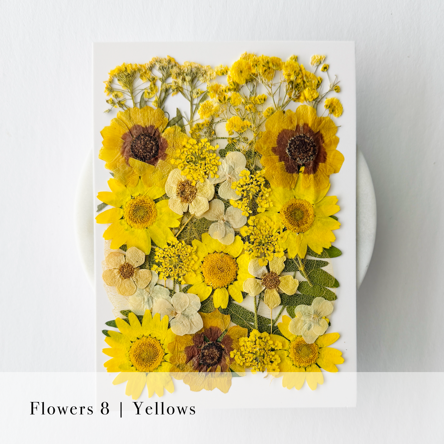 Pressed Flowers