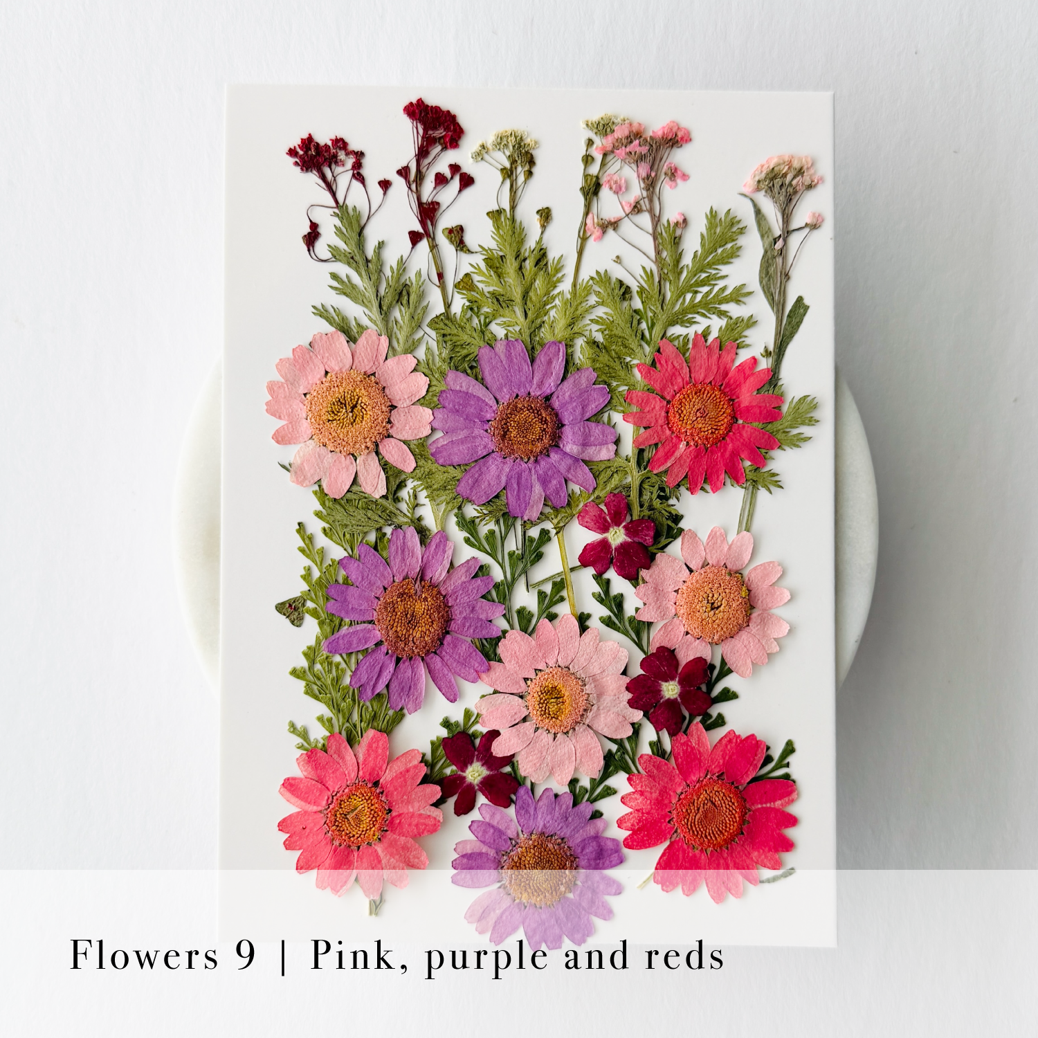 Pressed Flowers