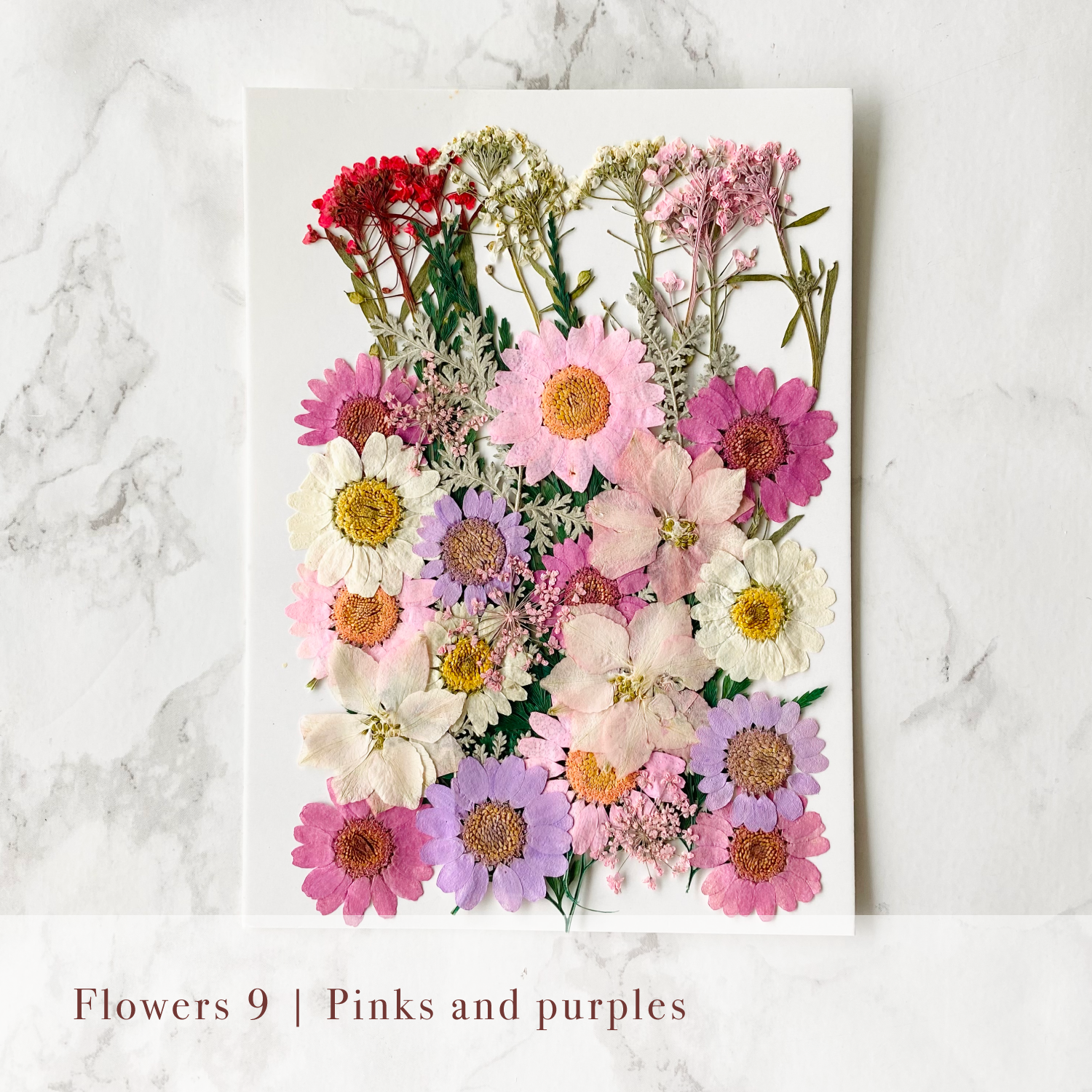 Pressed Flowers