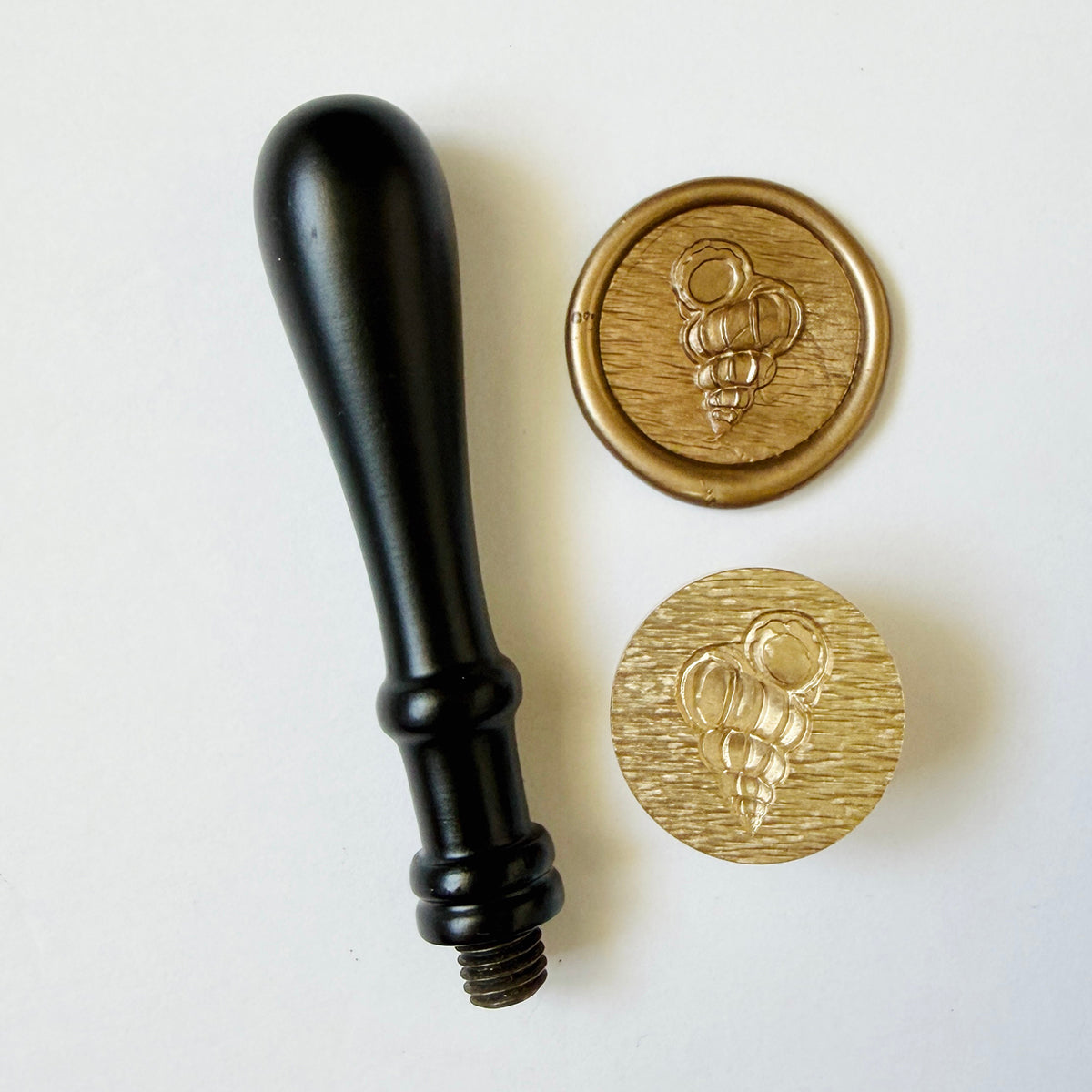 Coastal Shell Wax Seal Stamp 3-D