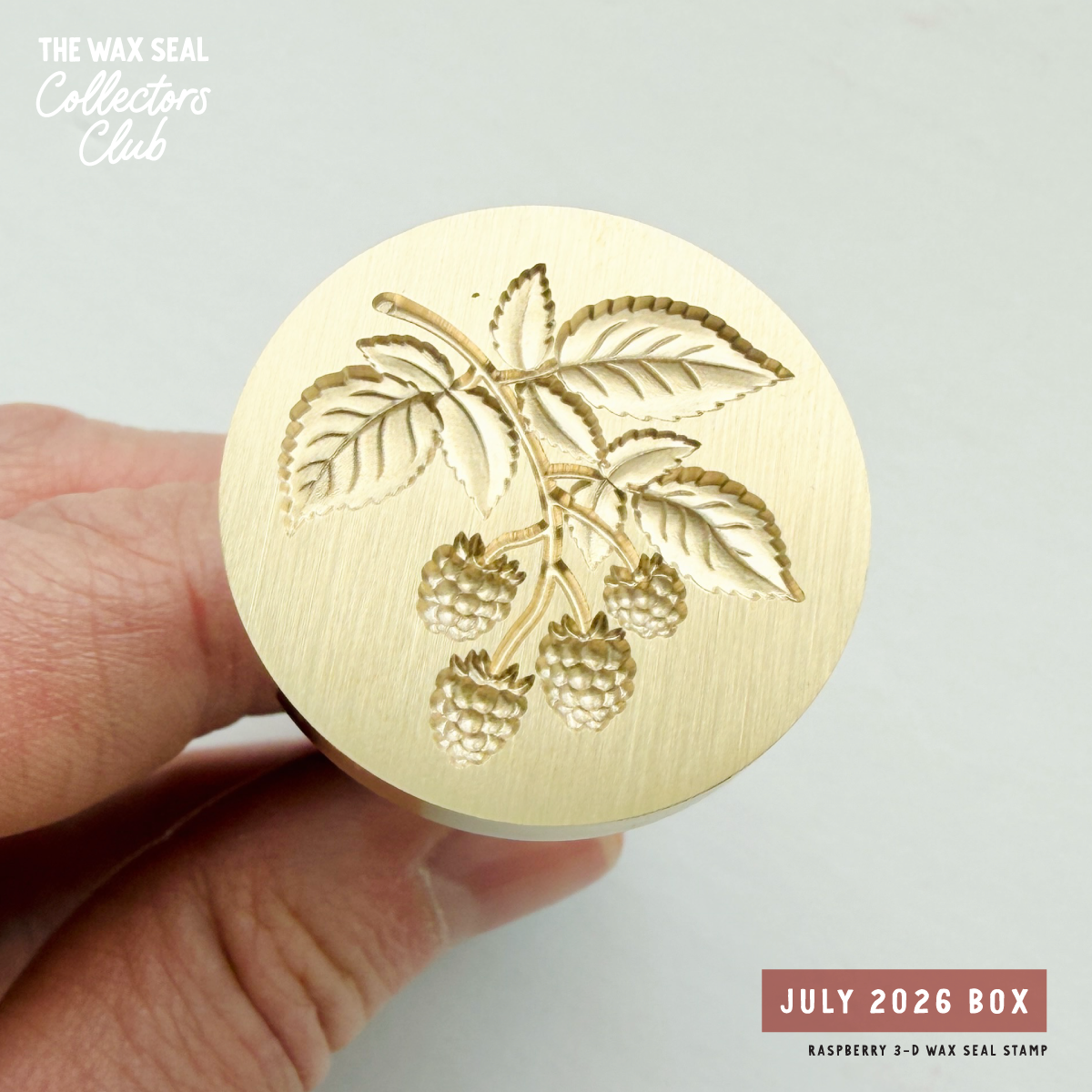The Collectors Club Monthly Subscription Box