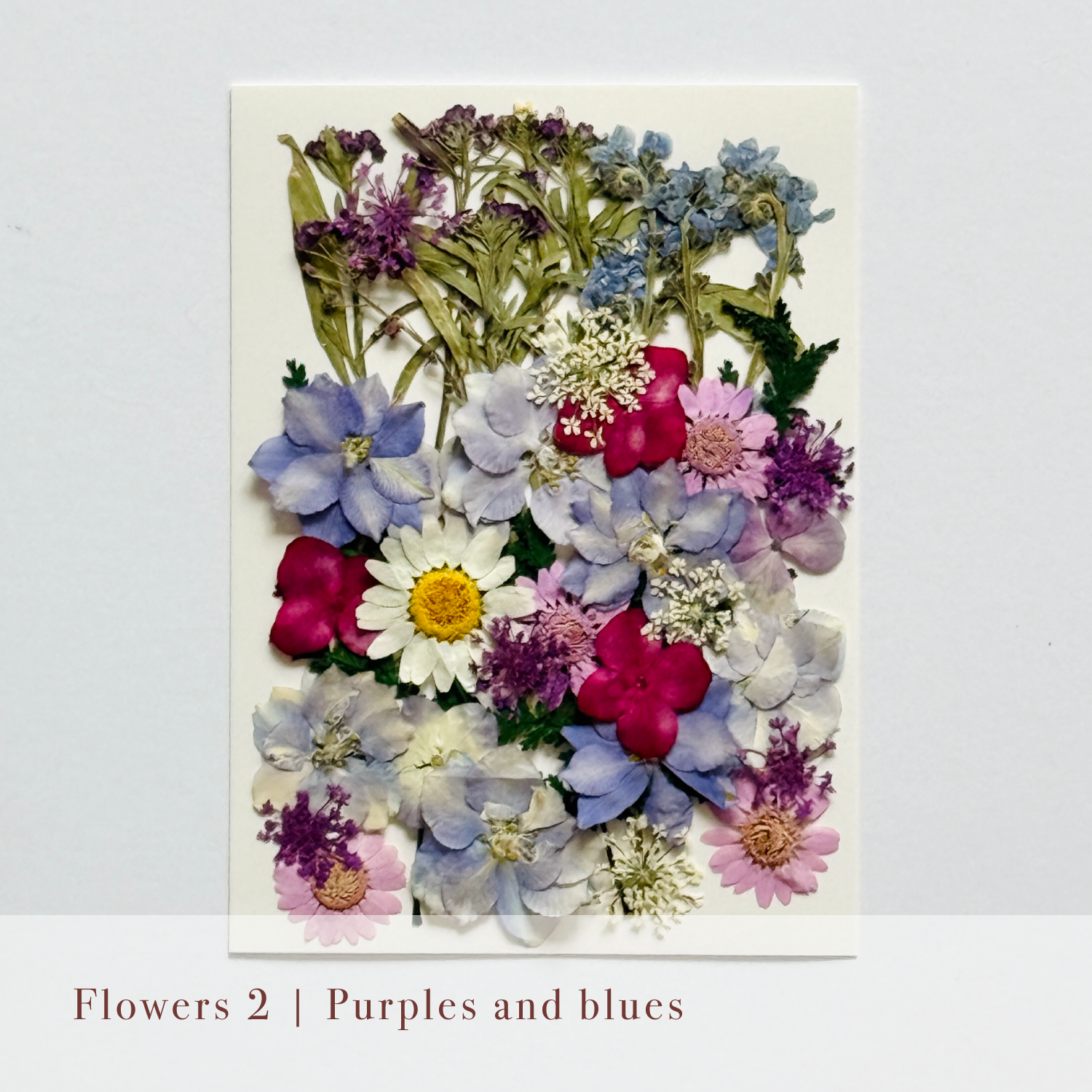 Pressed Flowers