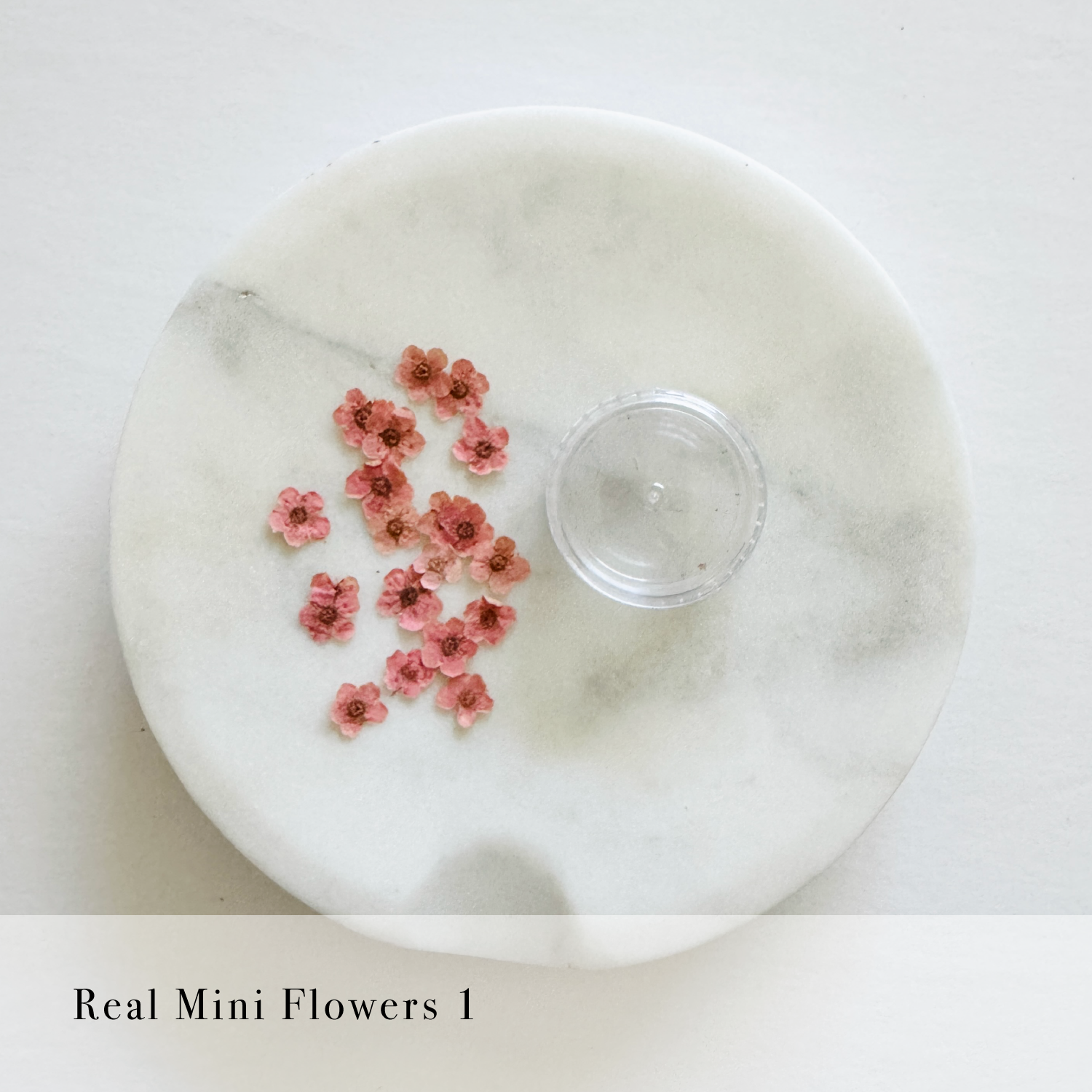 Real Mini Flowers