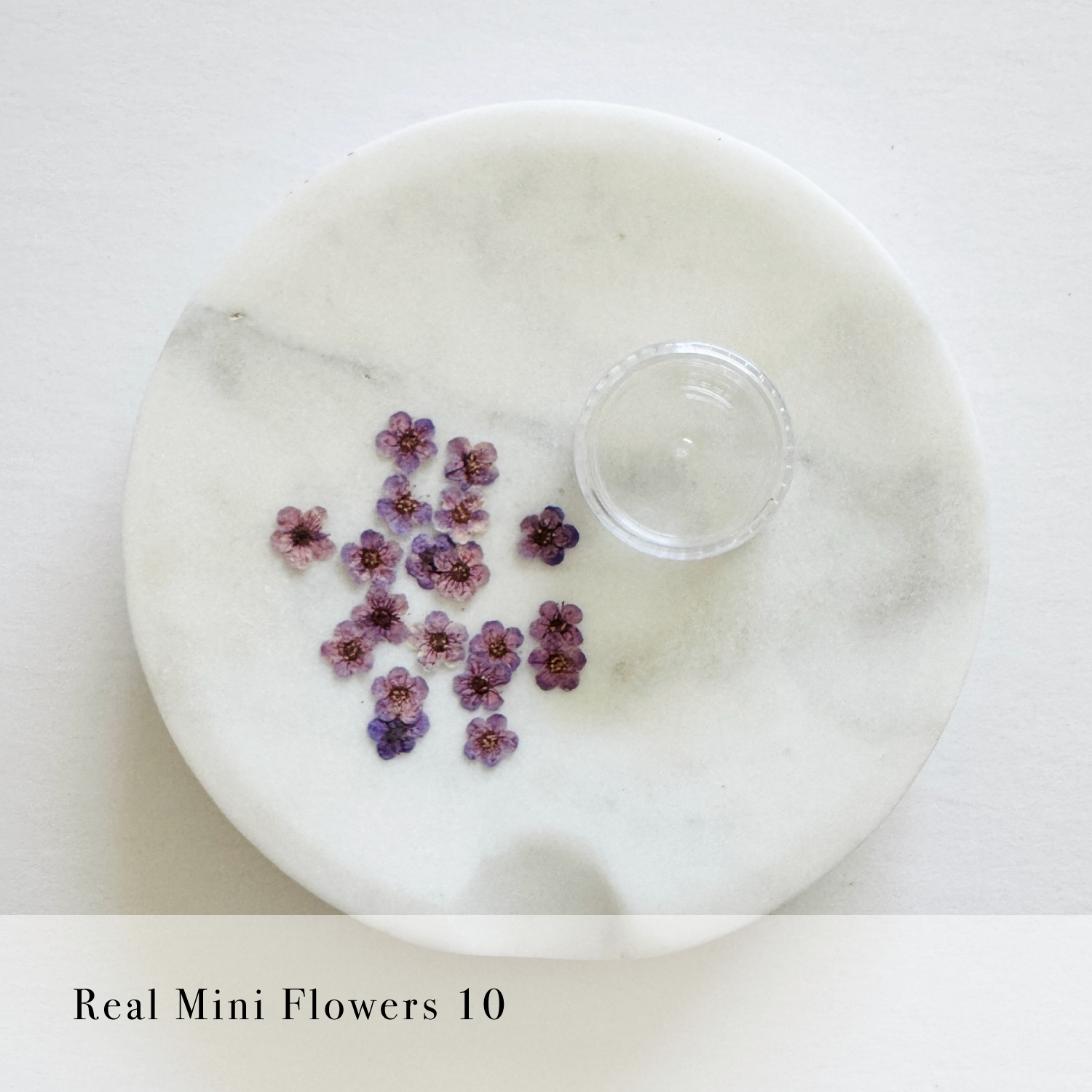 Real Mini Flowers