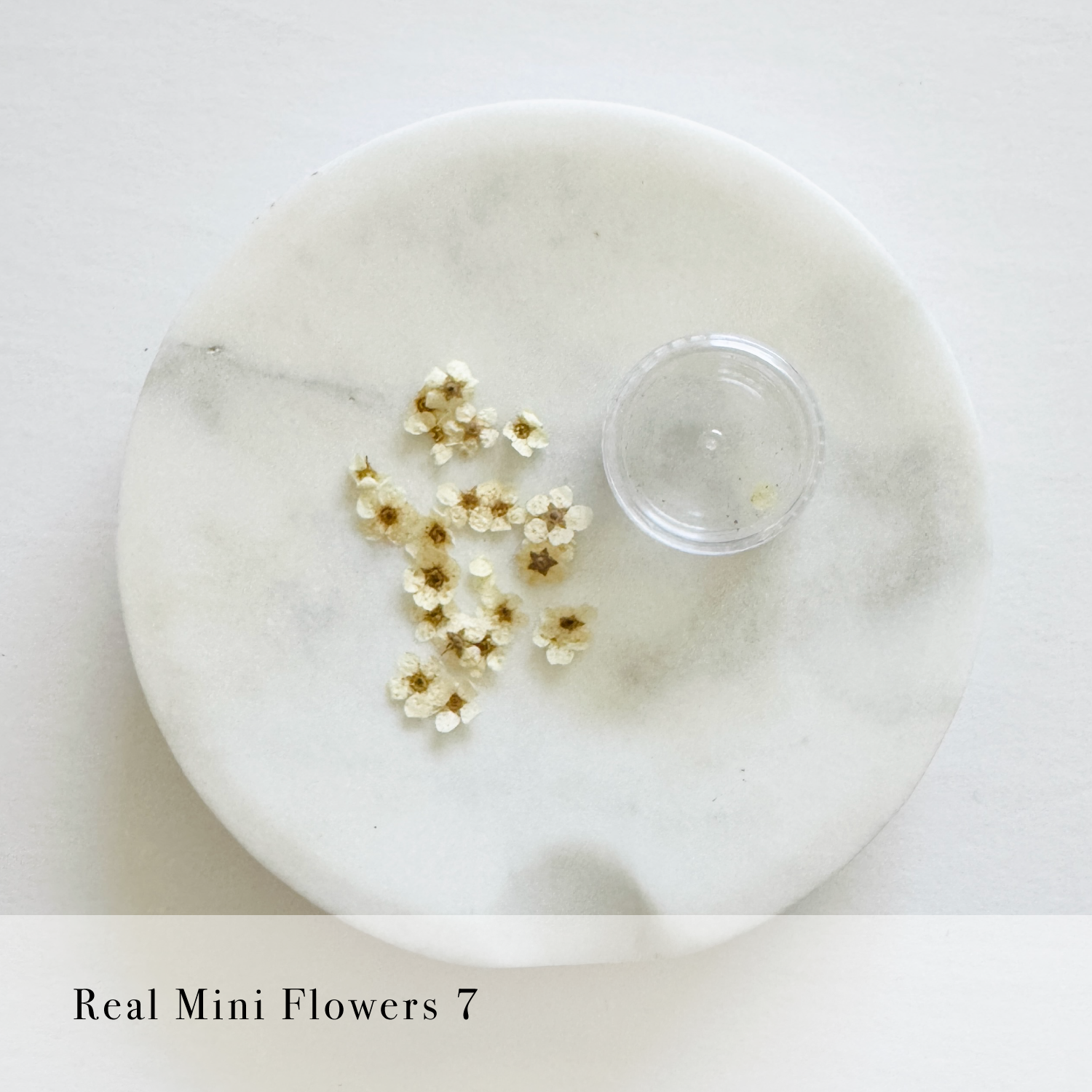 Real Mini Flowers