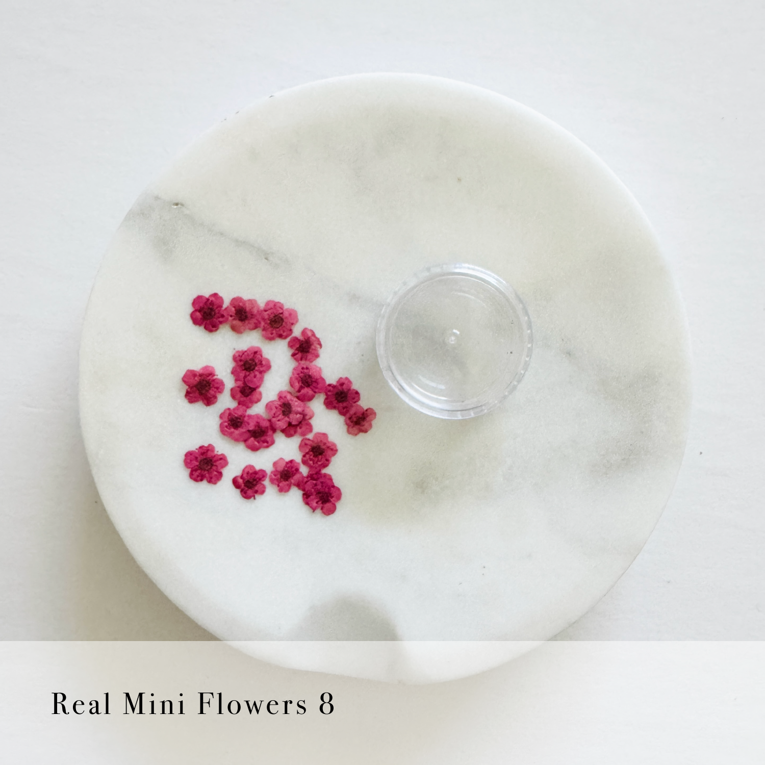 Real Mini Flowers