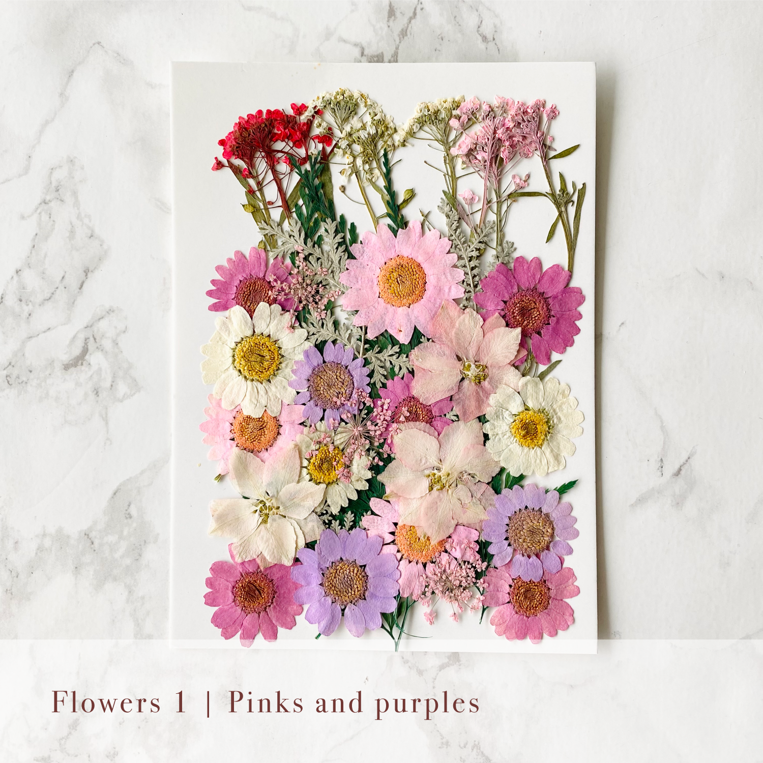 Pressed Flowers – B Goods Lettering