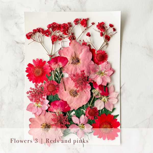 Pressed Flowers